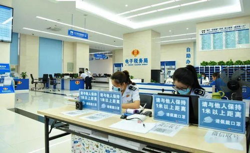 將操心變省心，從少跑到不跑——仙居納稅服務真贊